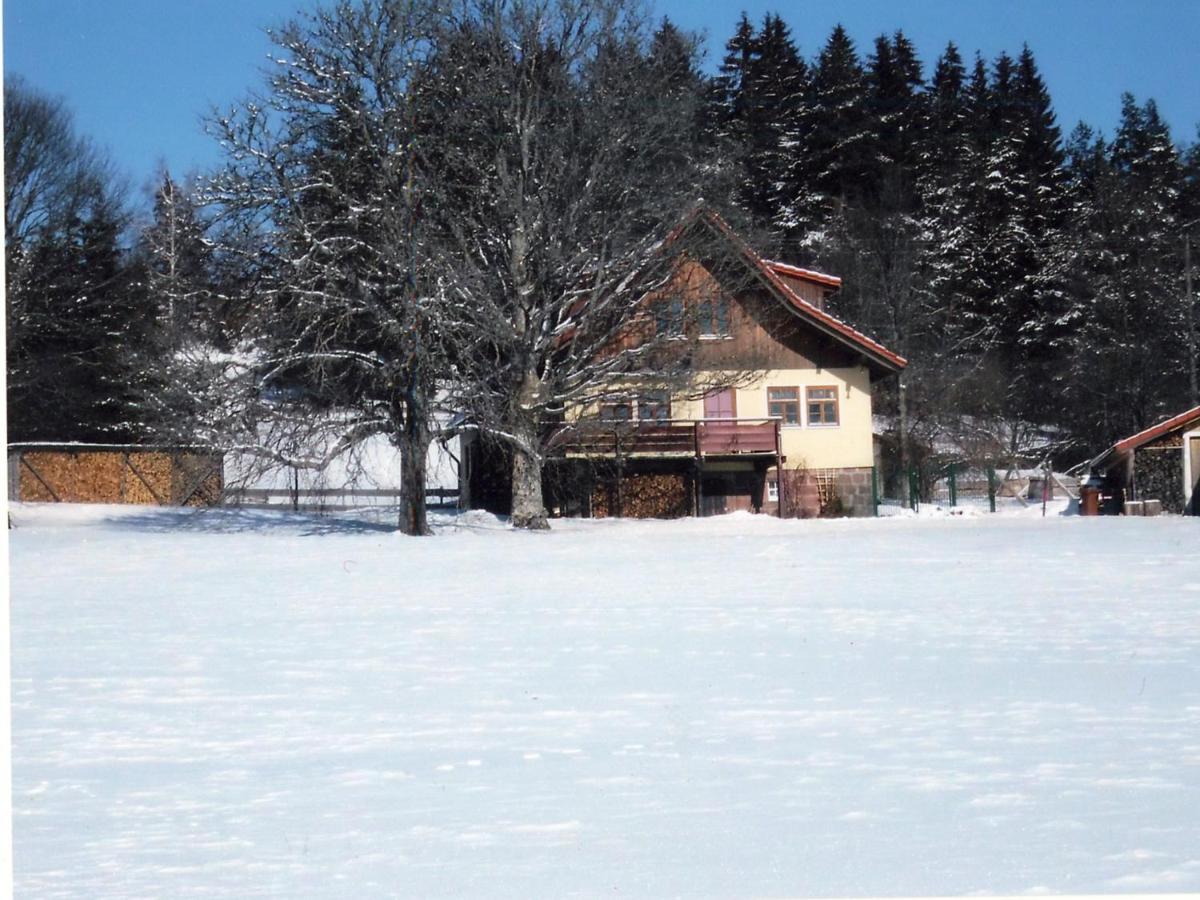 Landhaus Graf Kniebis Eksteriør billede